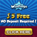 Wintingo online casino